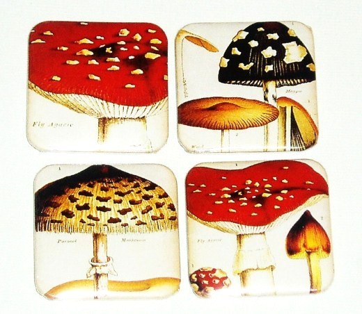 Magnets, Fridge Magnet - Mushroom Magnets (fms2)